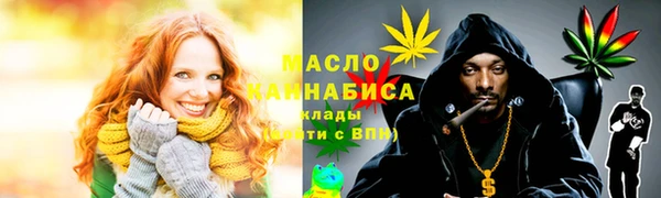 тгк Абаза