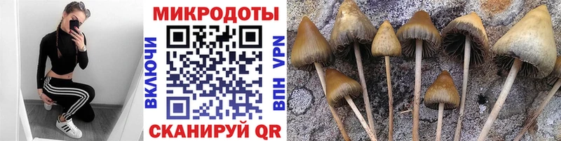 цены наркотик  omg   Галлюциногенные грибы мицелий  Дивногорск 