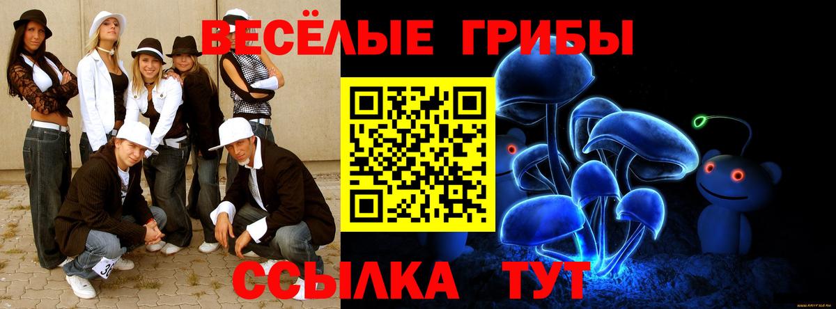 Псилоцибиновые грибы Magic Shrooms  Псилоцибиновые грибы GOLDEN TEACHER  Вход с VPN  Дивногорск 